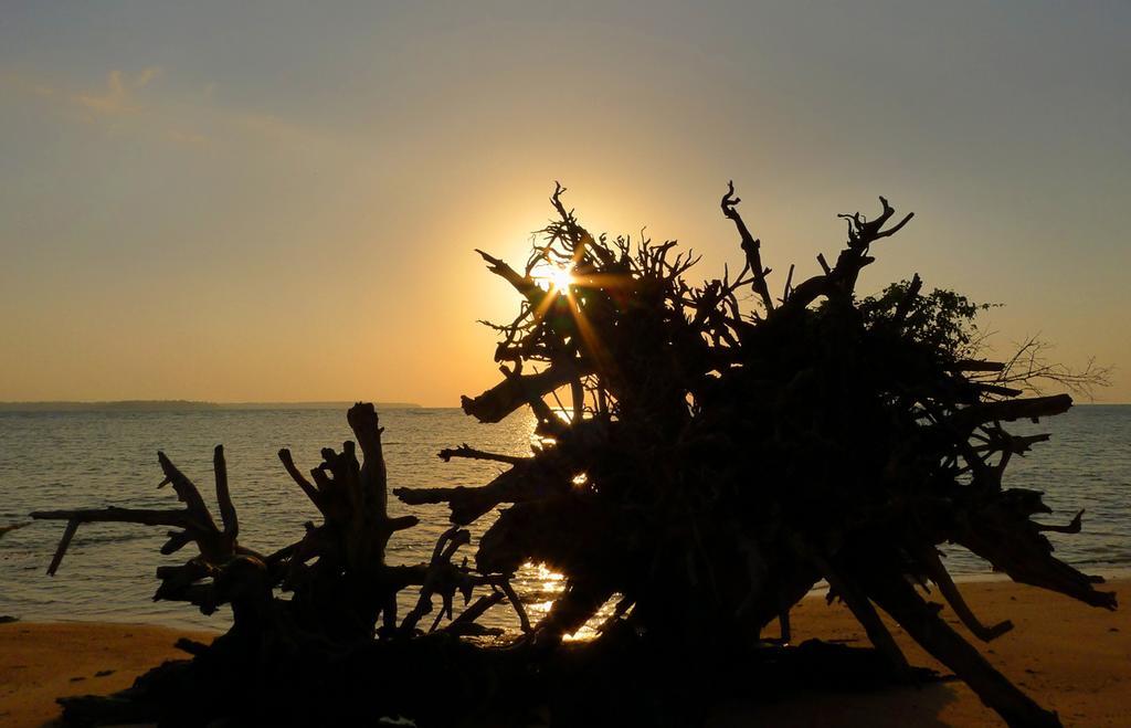 Anugama Resort Wandoor Exterior foto